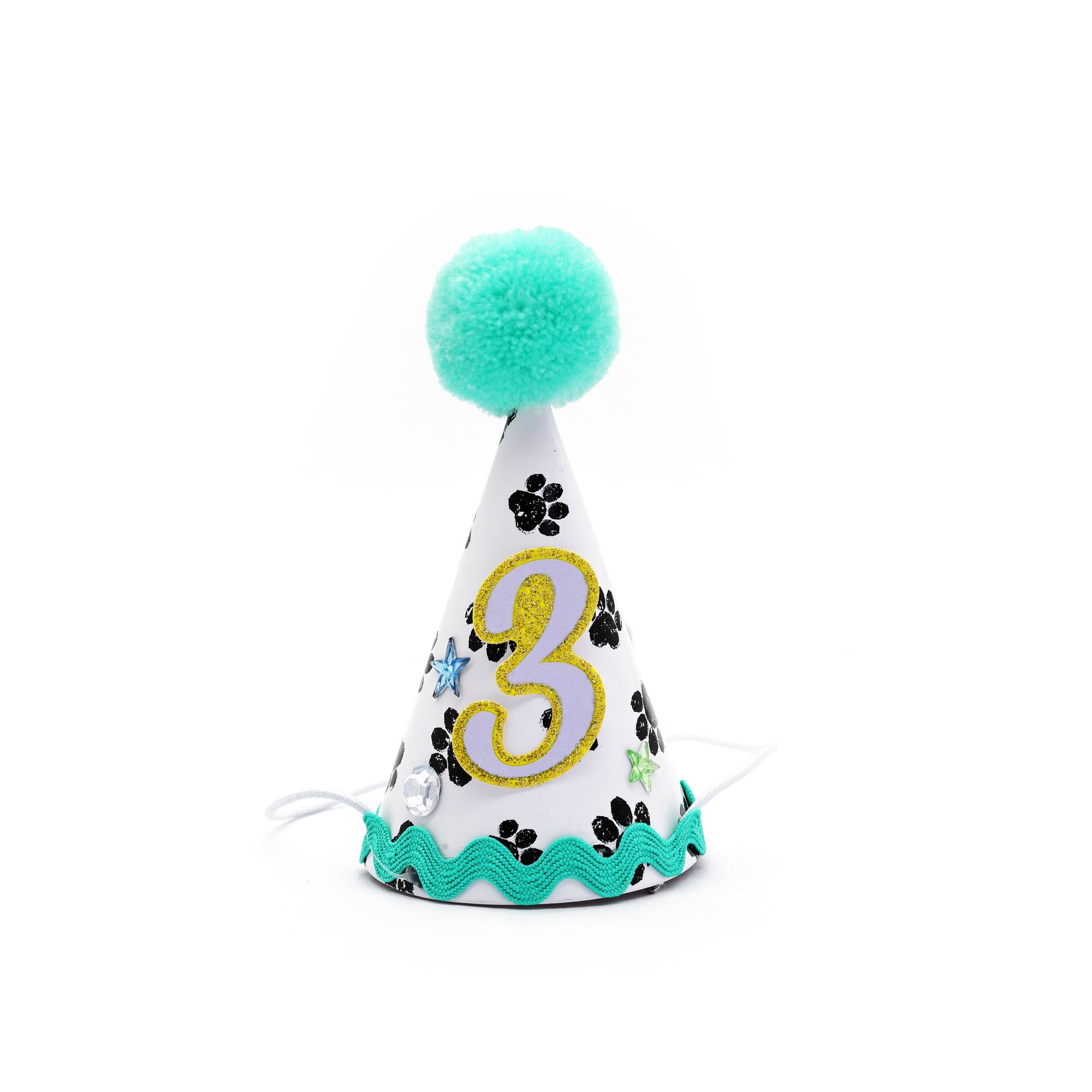 Assorted Small Pet Party Hat Set, 1pc. by Fab Finds